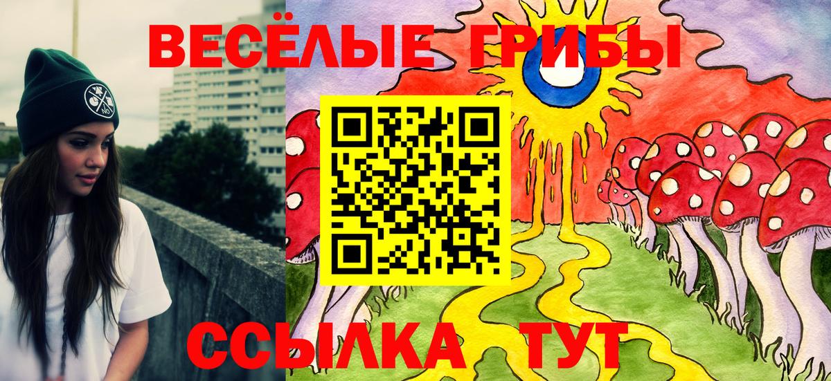 Псилоцибиновые грибы мухоморы  купить наркотики сайты  Вход с VPN  Юрга  Псилоцибиновые грибы Psilocybine cubensis 